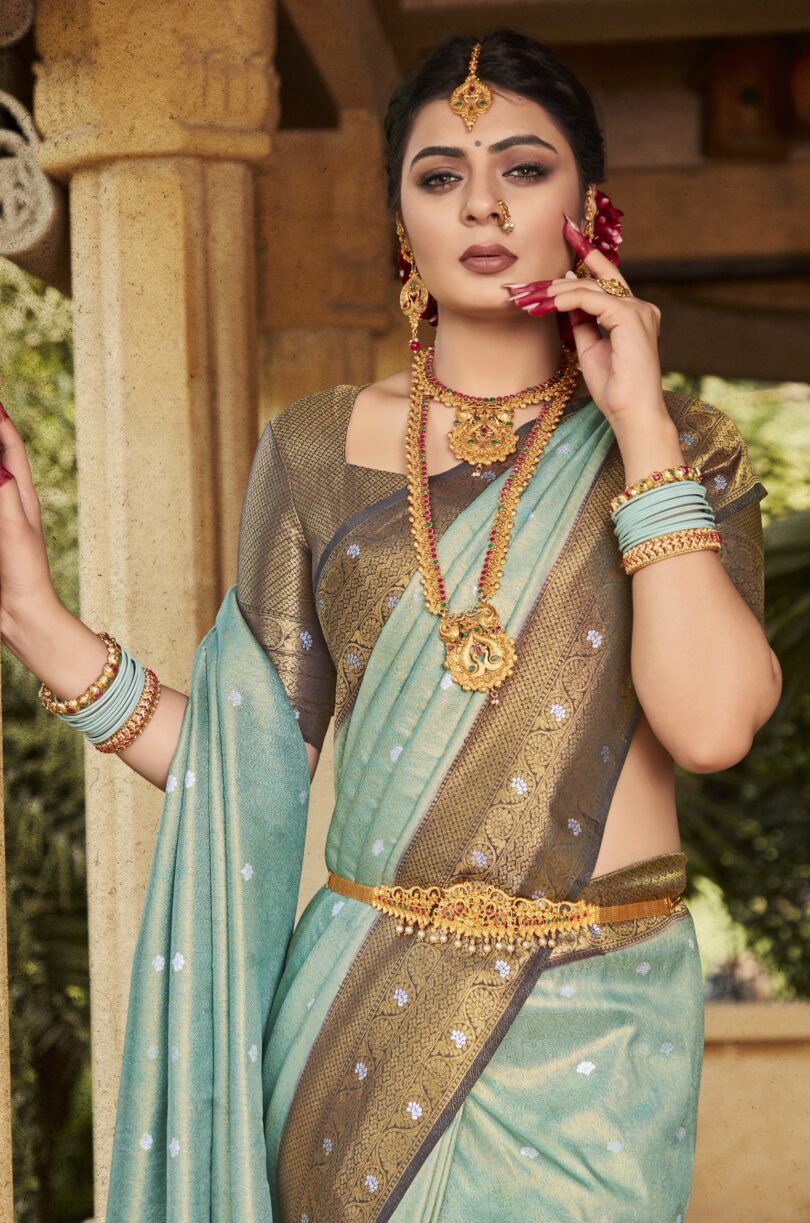 Sky Beautiful Kanjiveram Silk Saree - Image 2