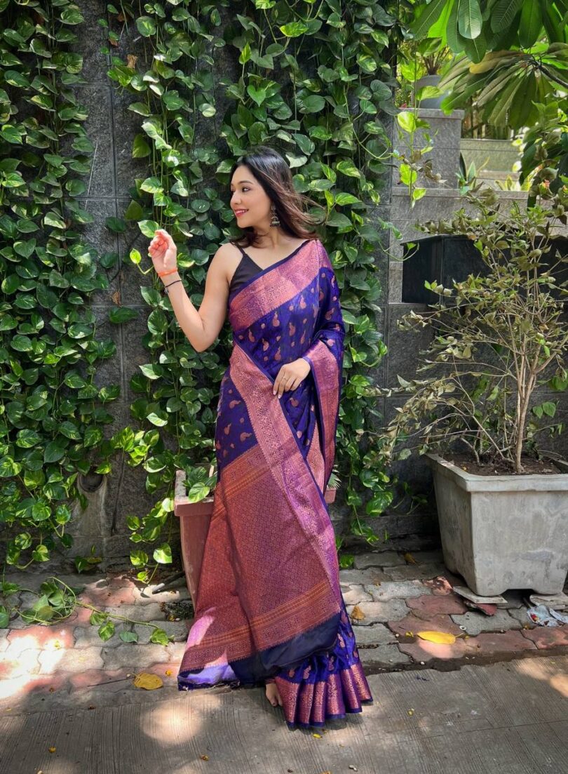 Blue Soft Silk Saree with self jacquard Weaving design - Image 3